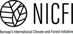 NICFI Logo